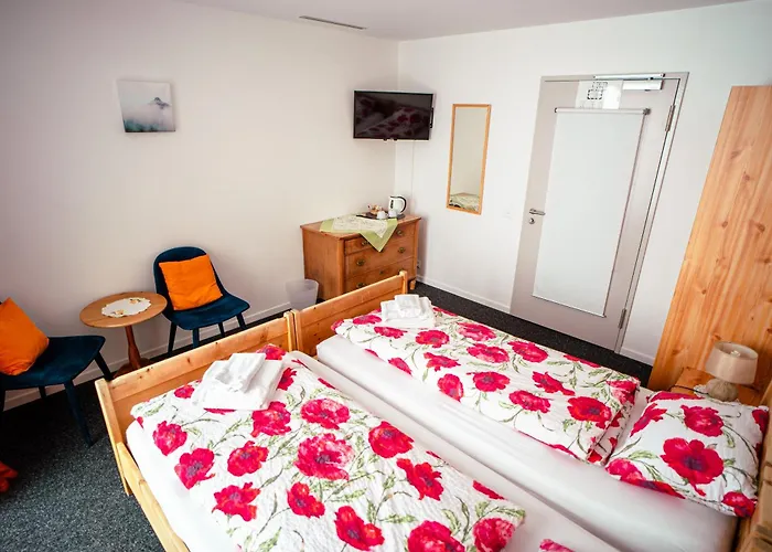 Ospizio La Veduta Hotel *